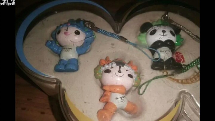 "Băng Đôn Đôn, mười năm trước tôi cũng từng được hàng triệu người hâm mộ"