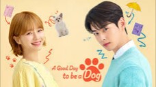 A Good Day To Be A Dog Episode 12 Tagalog Dubbed