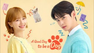 A Good Day To Be A Dog Episode 13 Tagalog Dubbed