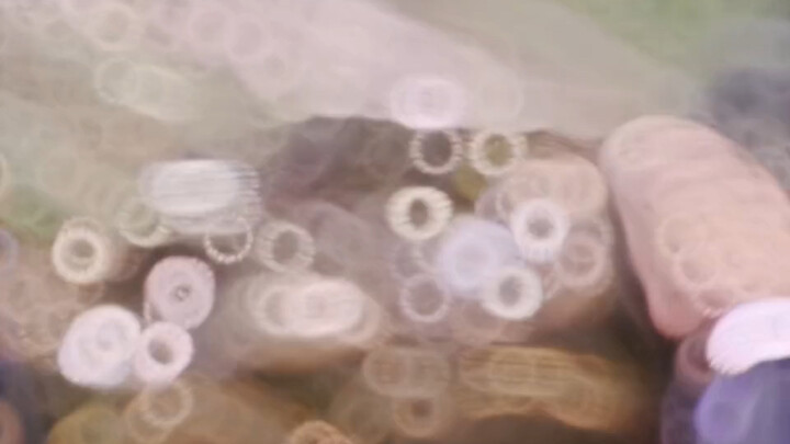 Hai việc trong cuộc đời người đàn ông, sáng tạo và hủy diệt