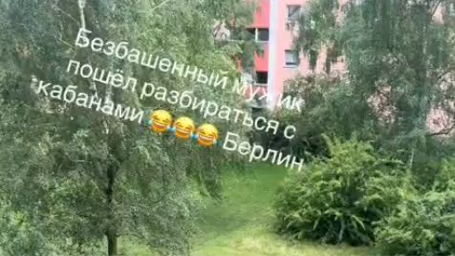 Расборки с кабанами в Берлине..