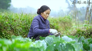 Buổi sáng bắt sâu cho rau và làm thêm ít bánh đa nem cho bữa trưa ( Spring Rolls ) I Ẩm Thực Mẹ Làm