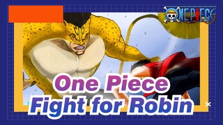 [One Piece/AMV] Gear Second Luffy vs. Rob Lucci--- Fight for Robin