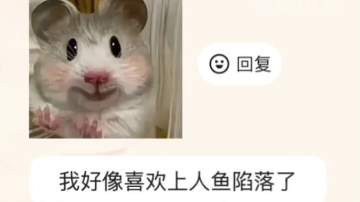 Bạn nói bạn ủng hộ ai??