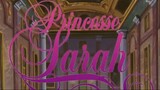 Princesse Sarah [Non AMV] Fin Midi les Zouzous puis Journal de la santé et début d'Étoiles du cinéma