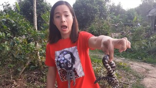 Ái đi bắt rắn 2 đầu.