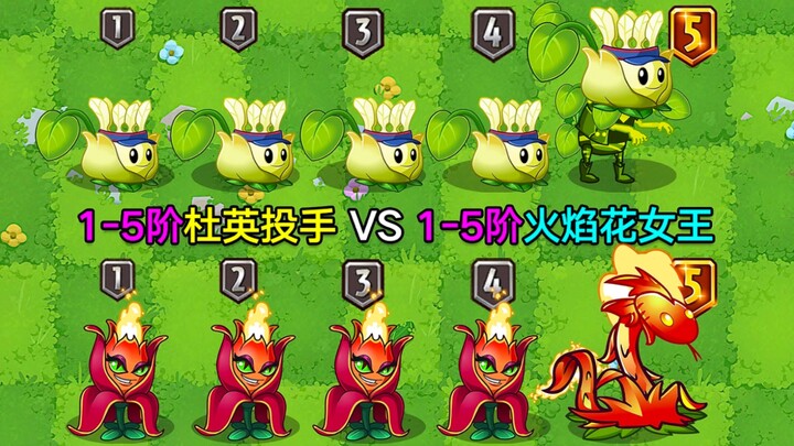 Level 1-5 Du Ying pitcher vs. Level 1-5 Flame Flower Queen—both have two distinct attack forms. Who'