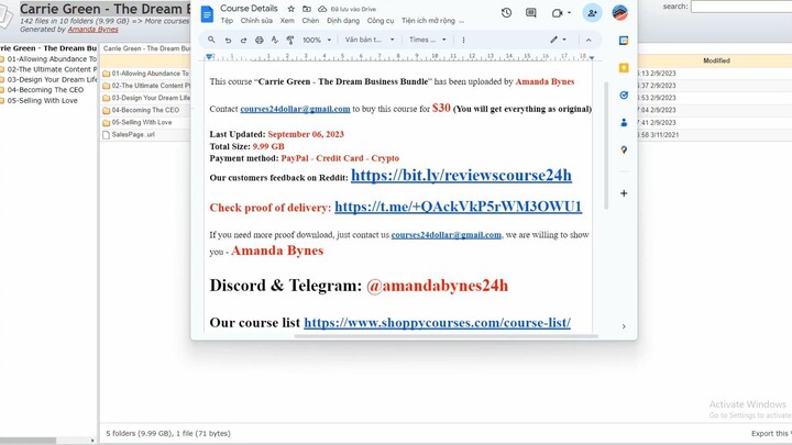 [$30] Carrie Green - The Dream Business Bundle