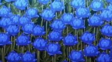 wind Blade Episode 1 - 12 English Sub Anime Full Screen 1080p English Sub