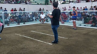 7/22/23 5 stag bmeg endorser's cup. 2nd Fight Loss,