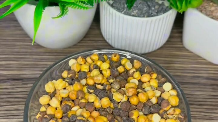 chana shake for high protein