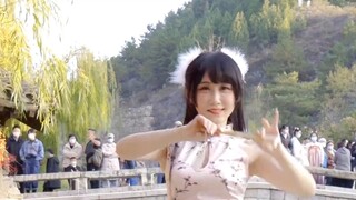 [หน้าจอแนวตั้ง] น้องสาวผู้อ่อนโยน สไตล์จีน ✿ การเต้นรำแบบพัด ✿ สไตล์โบราณ [บนเครื่องสาย] [@小梦]