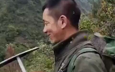 Descending the Mountain