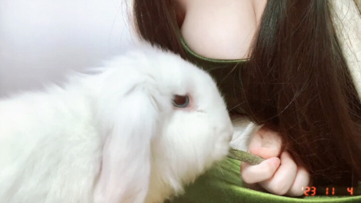 อยาก… ฉันอยาก… ฉันอยากจริงๆ เลย… ฮือๆๆ