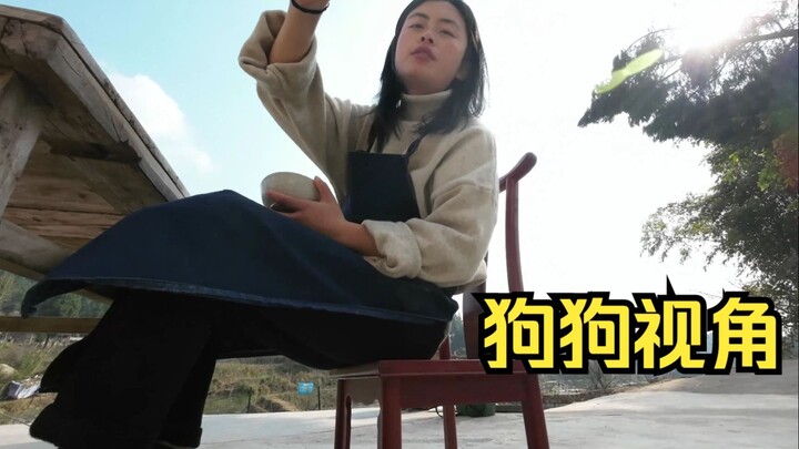 给狗狗带上摄像头，发现它满眼都是主人......