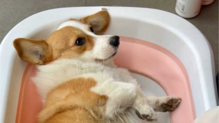 It's got patina—just wash it and it'll be good as new!