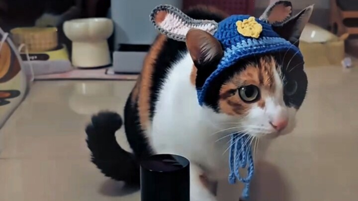 Mở toang cửa: Chẳng hiểu cô ấy lảm nhảm gì, nhưng kiểu thế này thì đúng là đỉnh luôn!