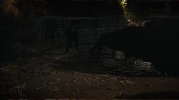 the parasite