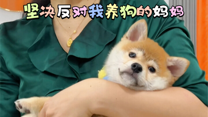 How did my mom, who was once so adamant against me getting a dog, end up like this?
