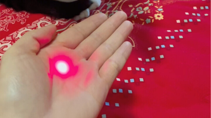 Làm thế nào để nắm chắc sự kính trọng của mèo nhà bạn dành cho bạn