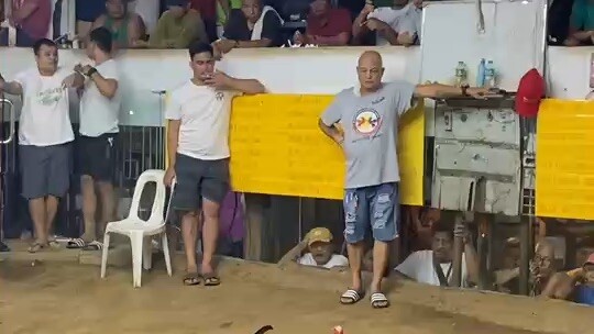 2nd Figth 2Hits Champion TAGURO LINE COBRA by Barroquillo’s Gameyard At Binangonan Cockpit Arena