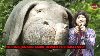 MENYELAMATKAN BABI SUPER HASIL EKSPERIMEN - Seluruh Alur Cerita Film