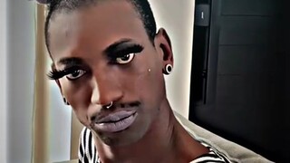 #funny videos