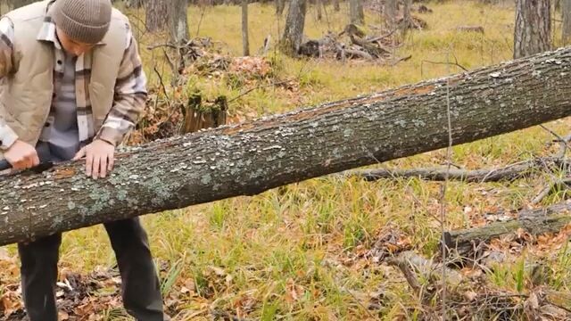 How to survive in the wild?? Watch this!