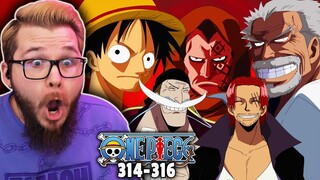 Family, Friends and Haki?? 🤨 (ONE PIECE REACTION)