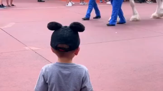 每看到一位公主，都会脱帽行礼