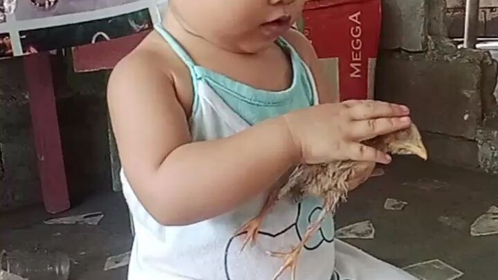 Ang manok ni Sophia🤣😆