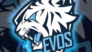 GOOD LUCK TO US TEAM EVOS 🥰