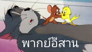 ร่วมมือจัดการบักทอม การ์ตูน ทอมแอนด์เจอร์รี่