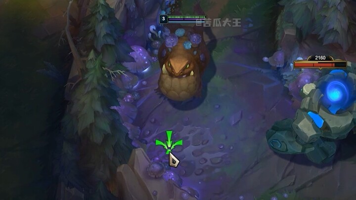 Dragon Turtle: Let’s see who dares to mess with my toad!