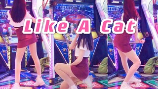 【猫步轻俏】金雪炫会玩跳舞机？来看看这背影有几分相似呢？
