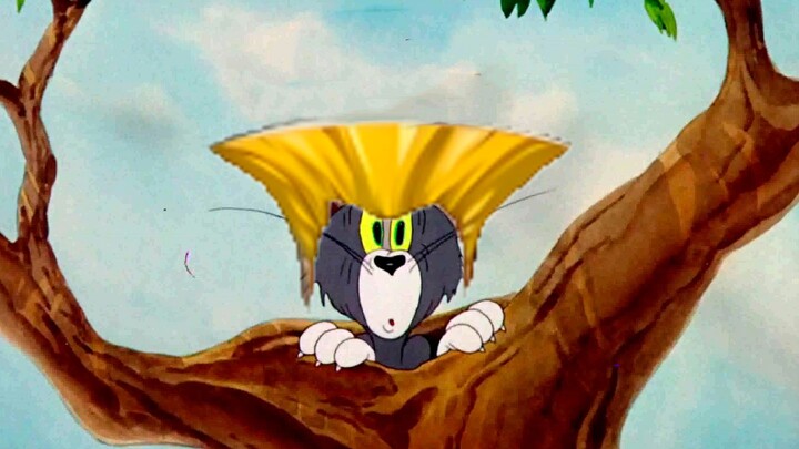 【Tom and Jerry】Street Fighter Guile (ไม่ได้ใช้เพลงต้นฉบับ)
