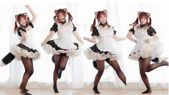 [จอแนวตั้ง] สาวใช้กวงจิ่ว เหมียว เหมียว♥ รีบไปกันเถอะ!