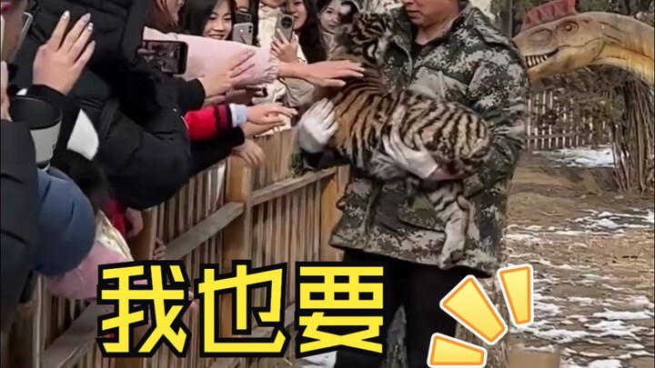 Wolf cub: I was eighteen that year, standing like a minion!!!