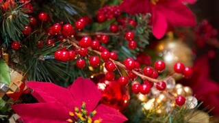 Last Christmas 🌲🌲🌲