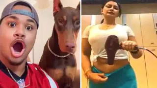 Happy mood is guaranteed, after watching these funny pets