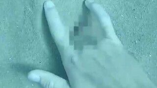 潜水大忌：啊~不行！那里不可以！🥵