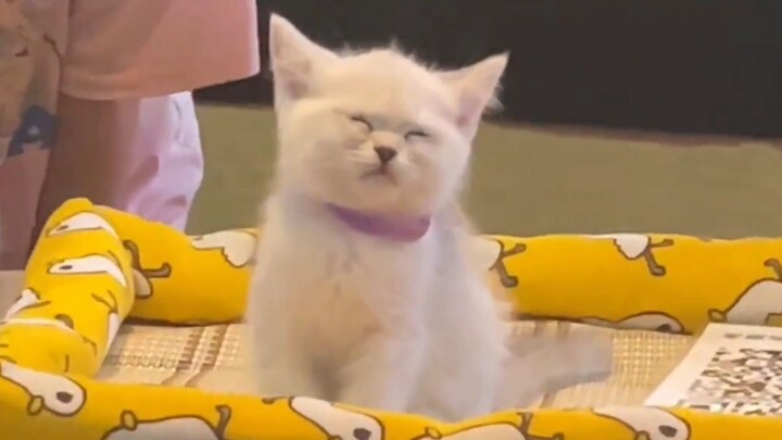 بعض الأشياء الصغيرة خُلقت أصلاً لتعالجك.