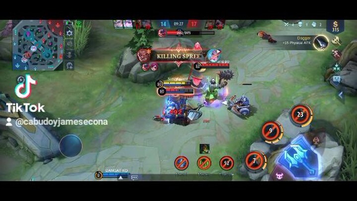 Zilong 6 Green Build