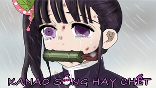 Kimetsu no yaiba chap 202 : Kanao Tsuyuri có sống nổi sau cú đâm của Tanjiro ??