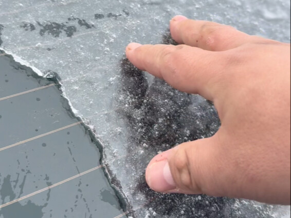 I heard everyone's already wearing short sleeves?