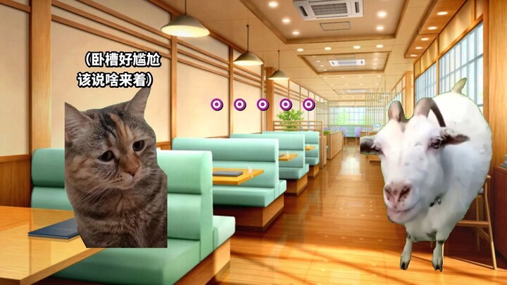 What's it like to visit Japan for the first time after reaching Japanese N1 (Part 1) | Cat meme