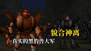 猛虎王松散集团内部情况