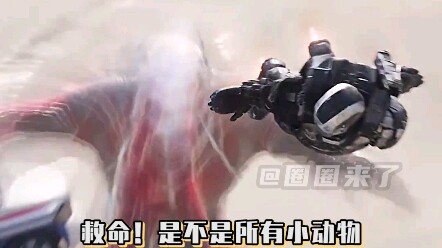 Có phải động vật nhỏ nào đến Quảng Đông cũng trở nên to hơn không?