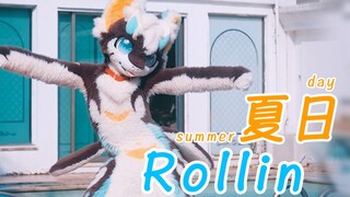 一支舞 跳出浓郁的夏天味道~