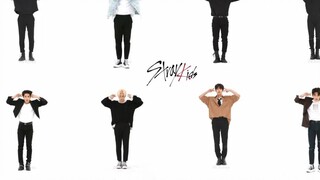 [Perbandingan tarian anggota di layar yang sama] Lagu baru Stray Kids MANIAC Weekly Idol FanCam